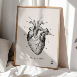 6389 AFFICHE L ANATOMIE DE...