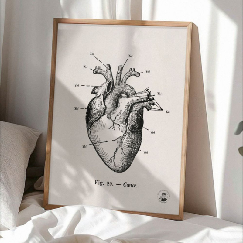 6389 AFFICHE L ANATOMIE DE MON COEUR
