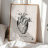 6389 AFFICHE L ANATOMIE DE MON COEUR