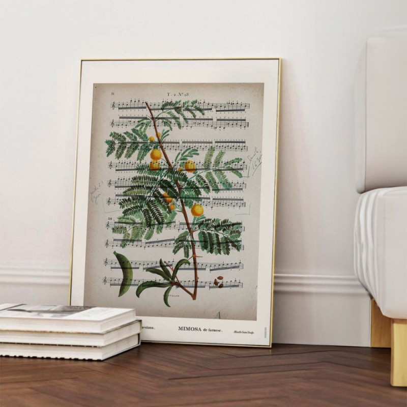 6382 AFFICHE PARTITION MIMOSA