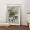 6382 AFFICHE PARTITION MIMOSA
