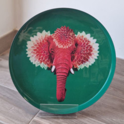 6623 PLATEAU ROND PACHIII