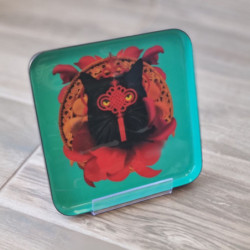 6618 VIDE POCHE CHACHINO