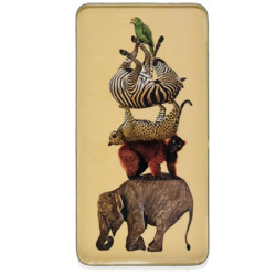 6846 PLATEAU RECTANGULAIRE...