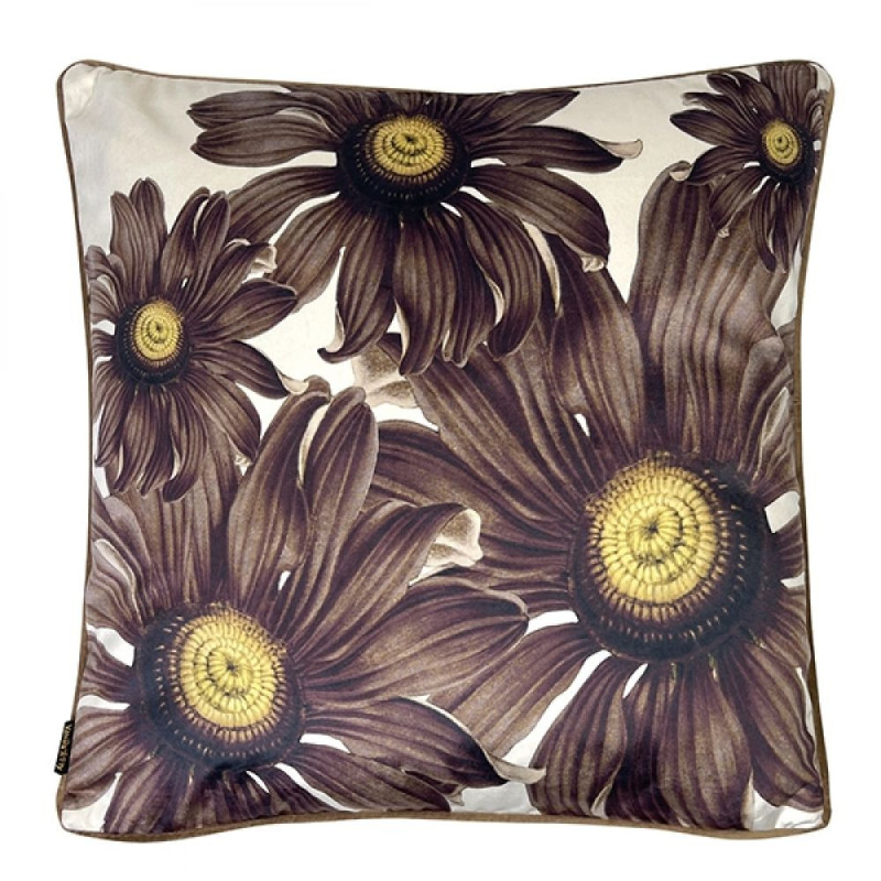 2275 COUSSIN CHOCOLATE