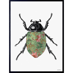 3213 AFFICHE COLORED BEETLE...